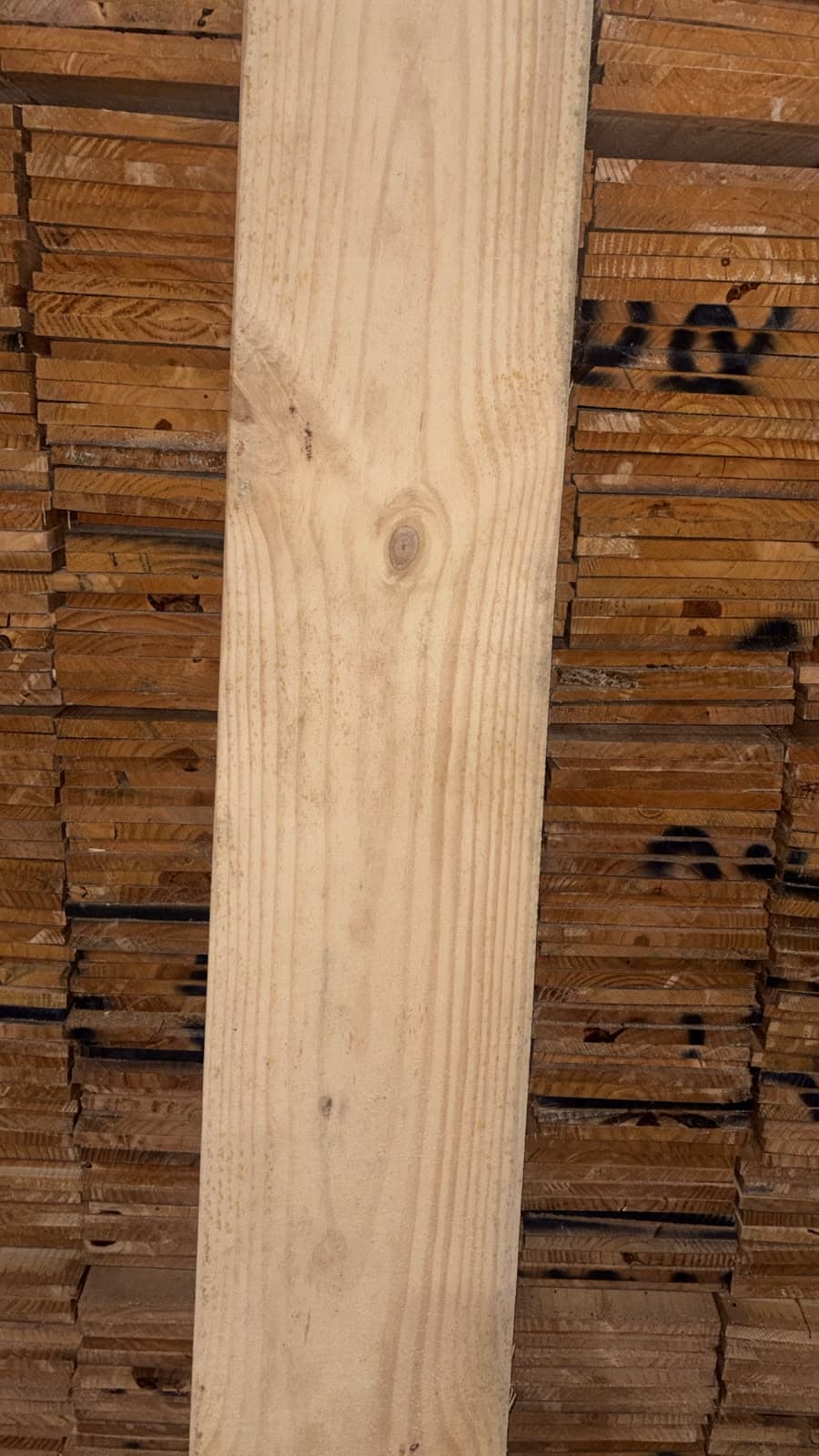 Tábua Pinus Bruta