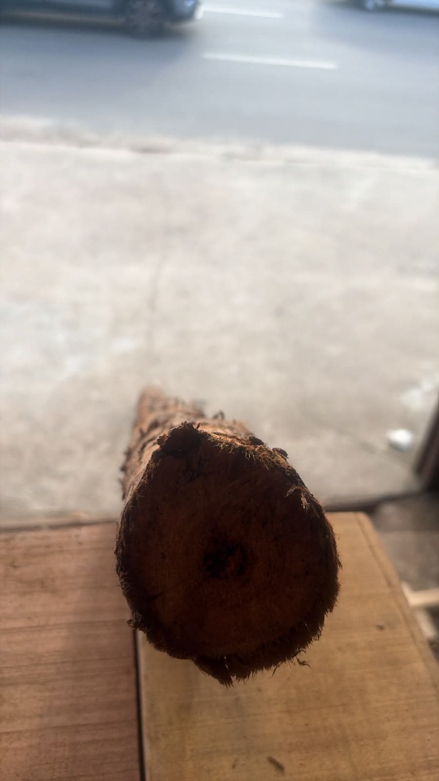 Estronca